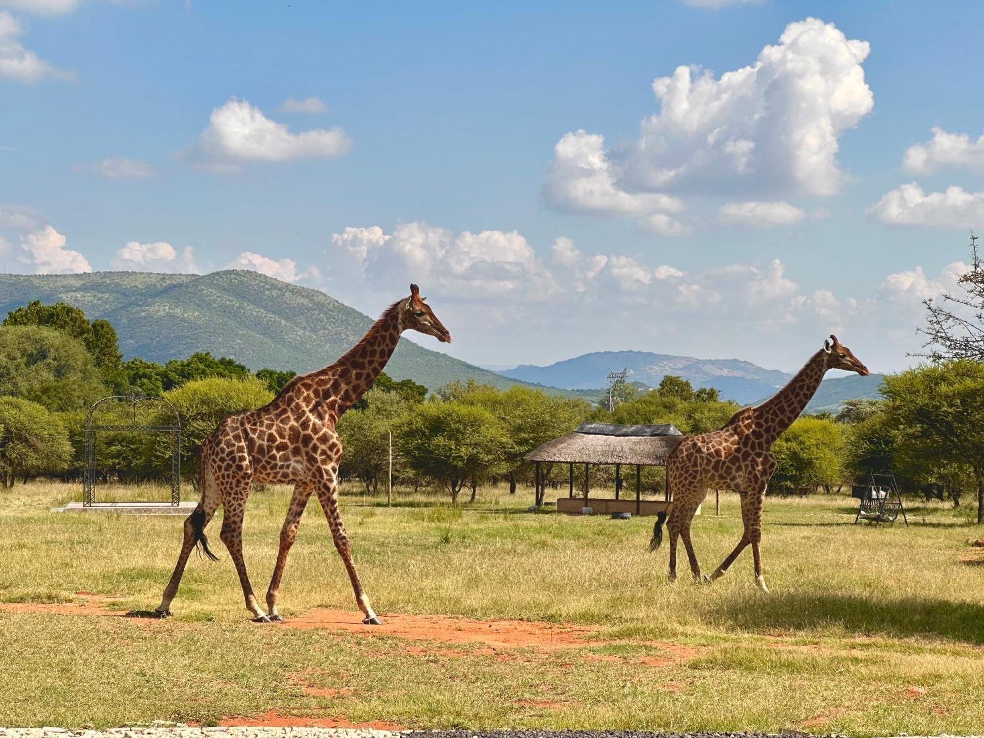 Tula Baba Game Lodge Brits Kültér fotó