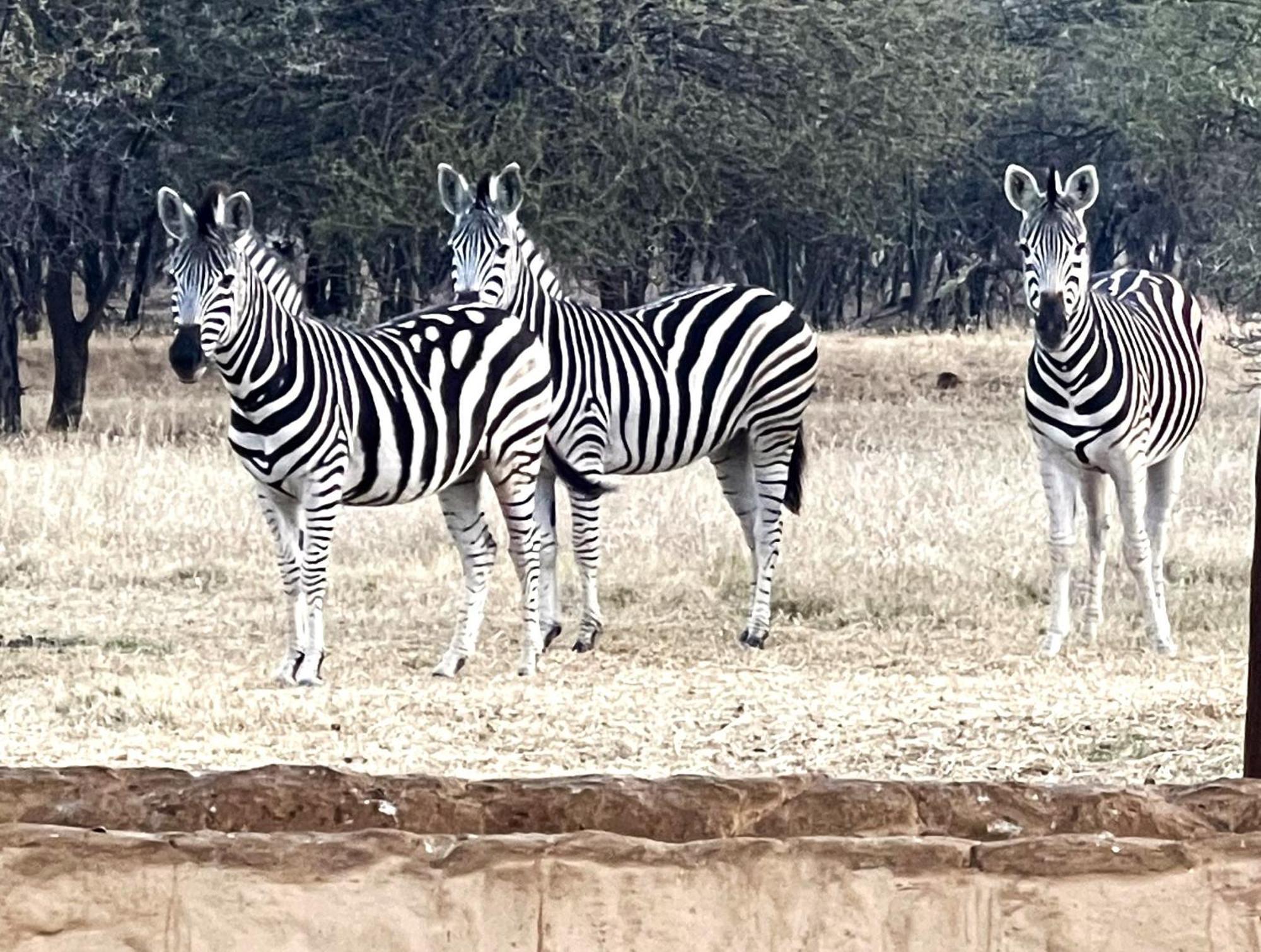 Tula Baba Game Lodge Brits Kültér fotó