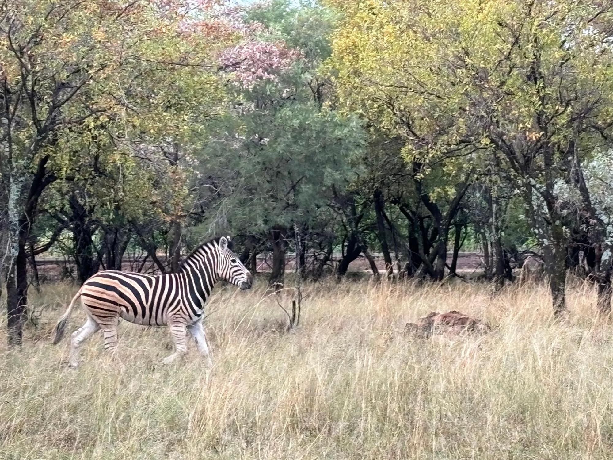 Tula Baba Game Lodge Brits Kültér fotó