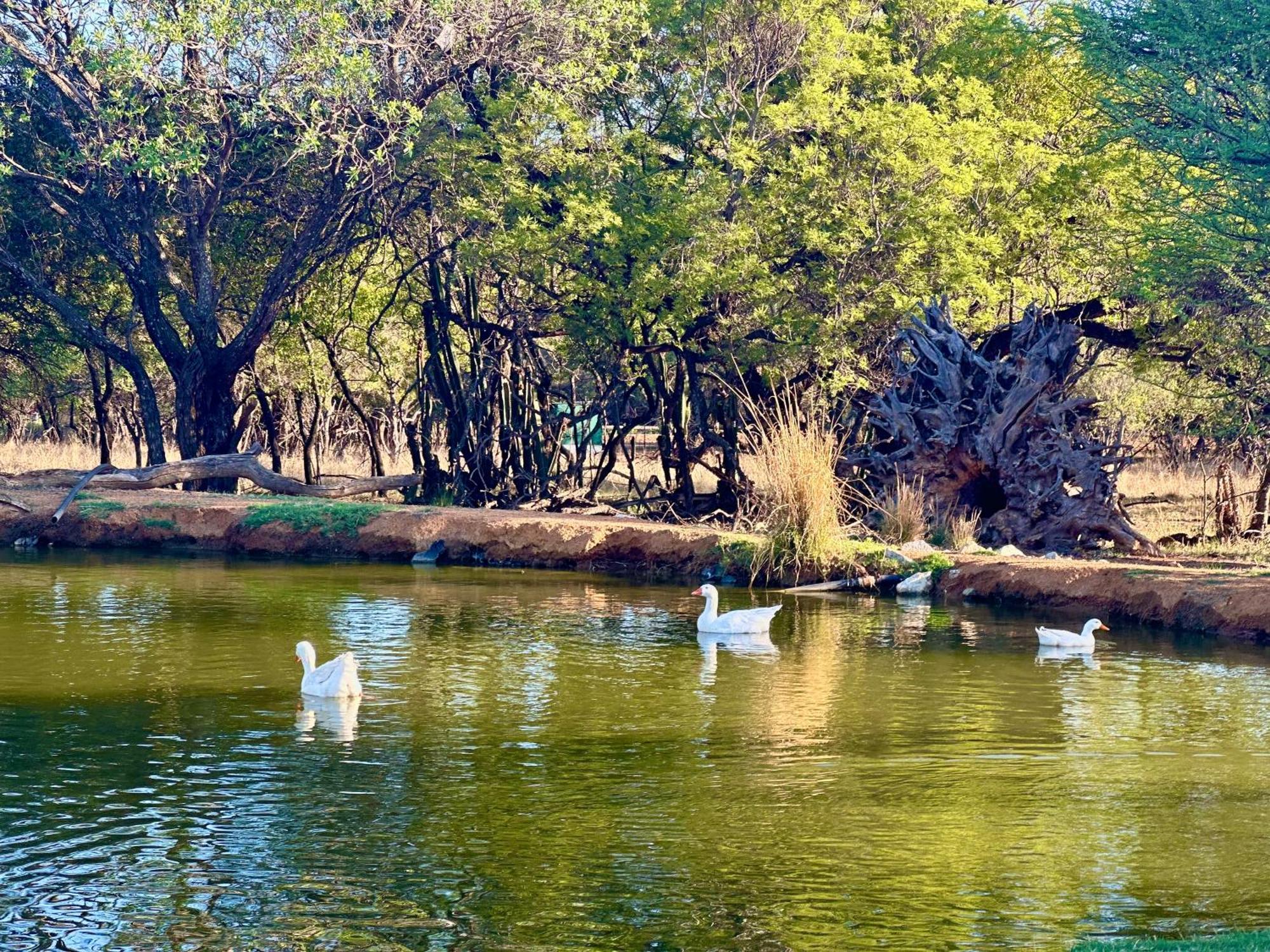 Tula Baba Game Lodge Brits Kültér fotó